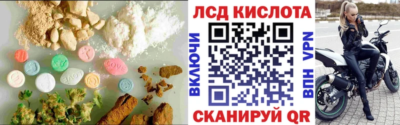 Купить закладки  Шагонар  Лсд 25 экстази ecstasy 