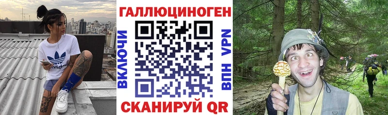 Купить где  Шагонар  Галлюциногенные грибы Magic Shrooms 