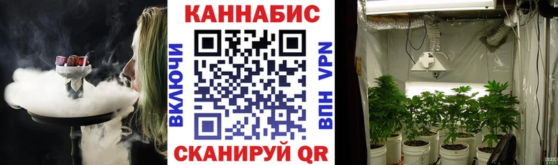 Купить  Шагонар  Каннабис THC 21% 